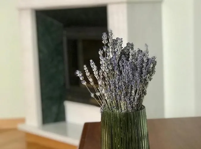 Family Apartment Near The University